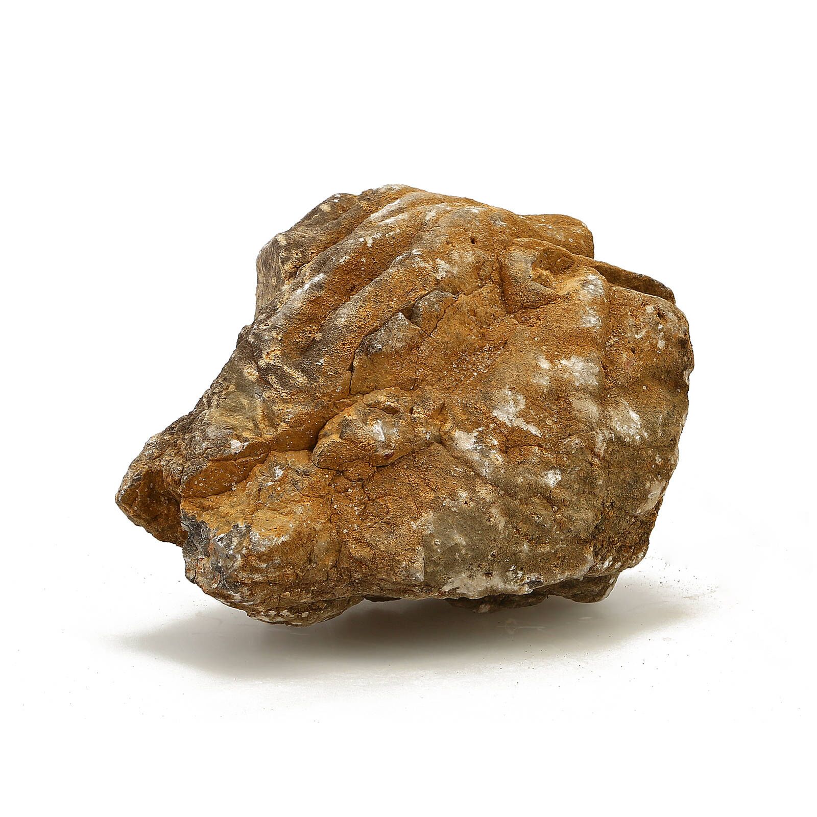 灰色岩石-象皮岩石