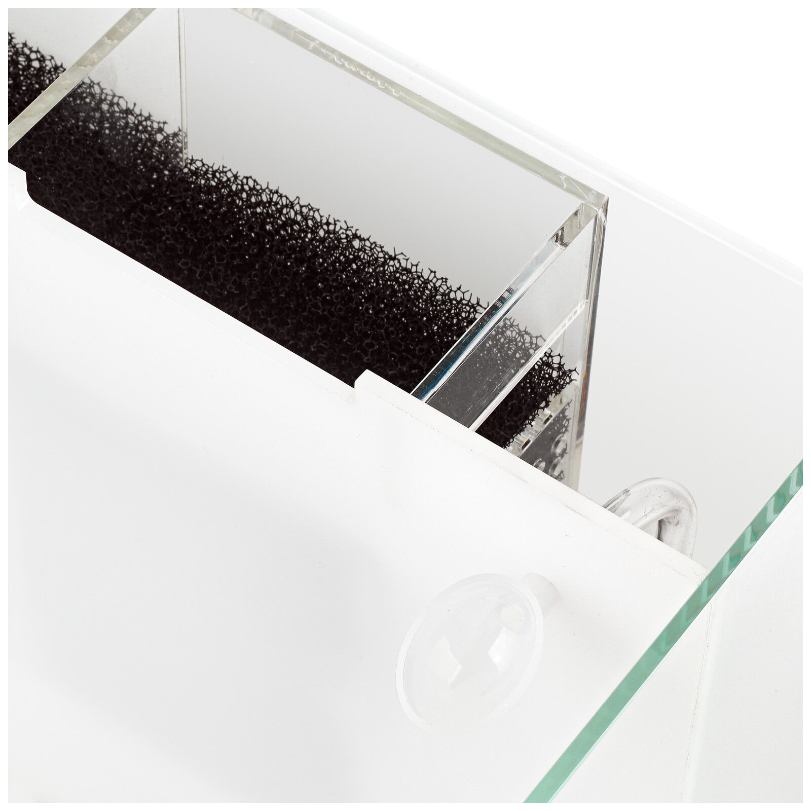 斗狗 - 系统水上