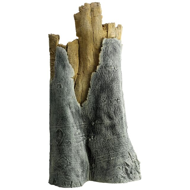 回到自然-亚马逊3D模块