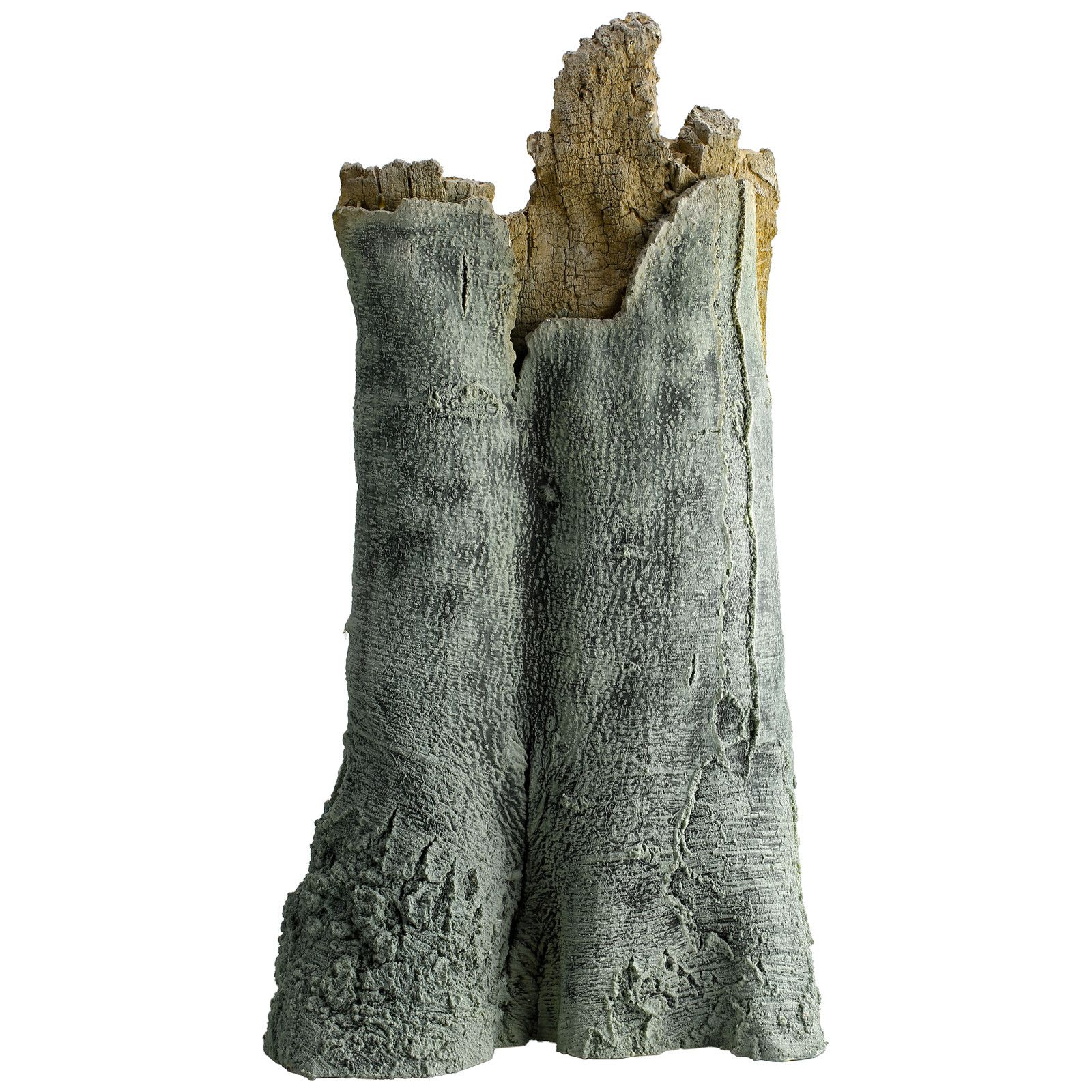 回到自然-亚马逊3D模块