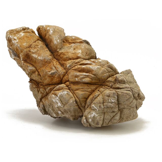 灰色岩石 - 大象皮肤岩石