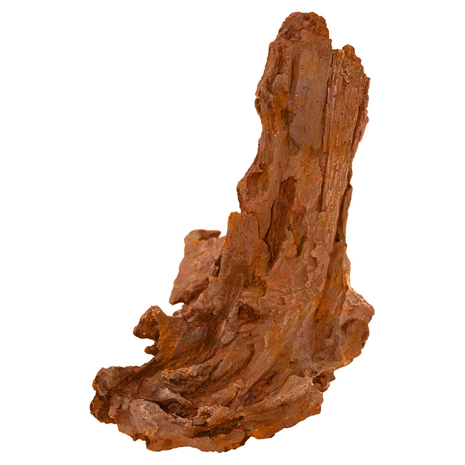 绿洲- biOrb空气- Bogwood装饰