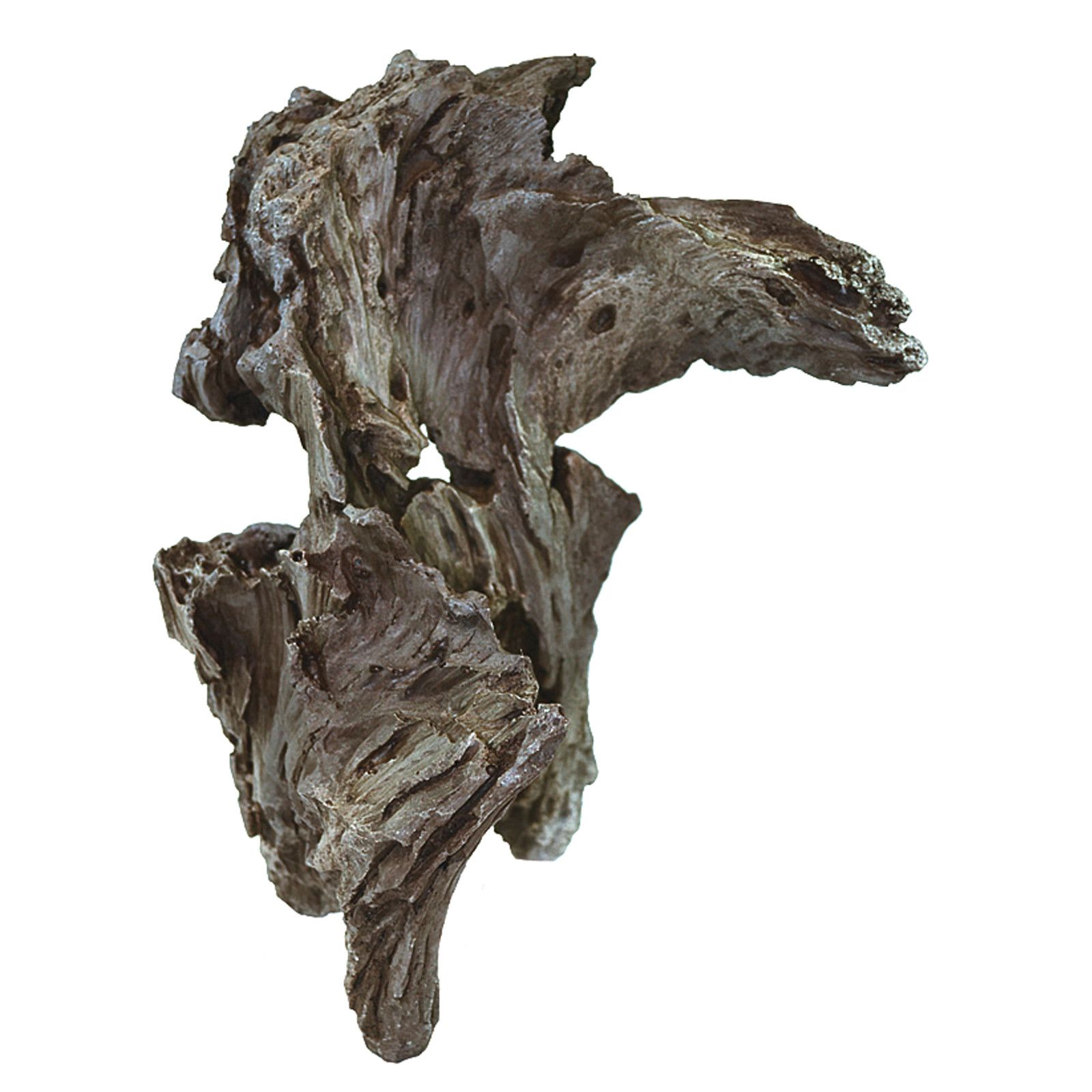 Oase  -  Biorb Air  -  Rockwood装饰