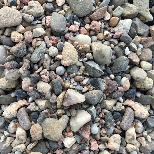 返回自然 - 亚马逊衬底 -  10千克