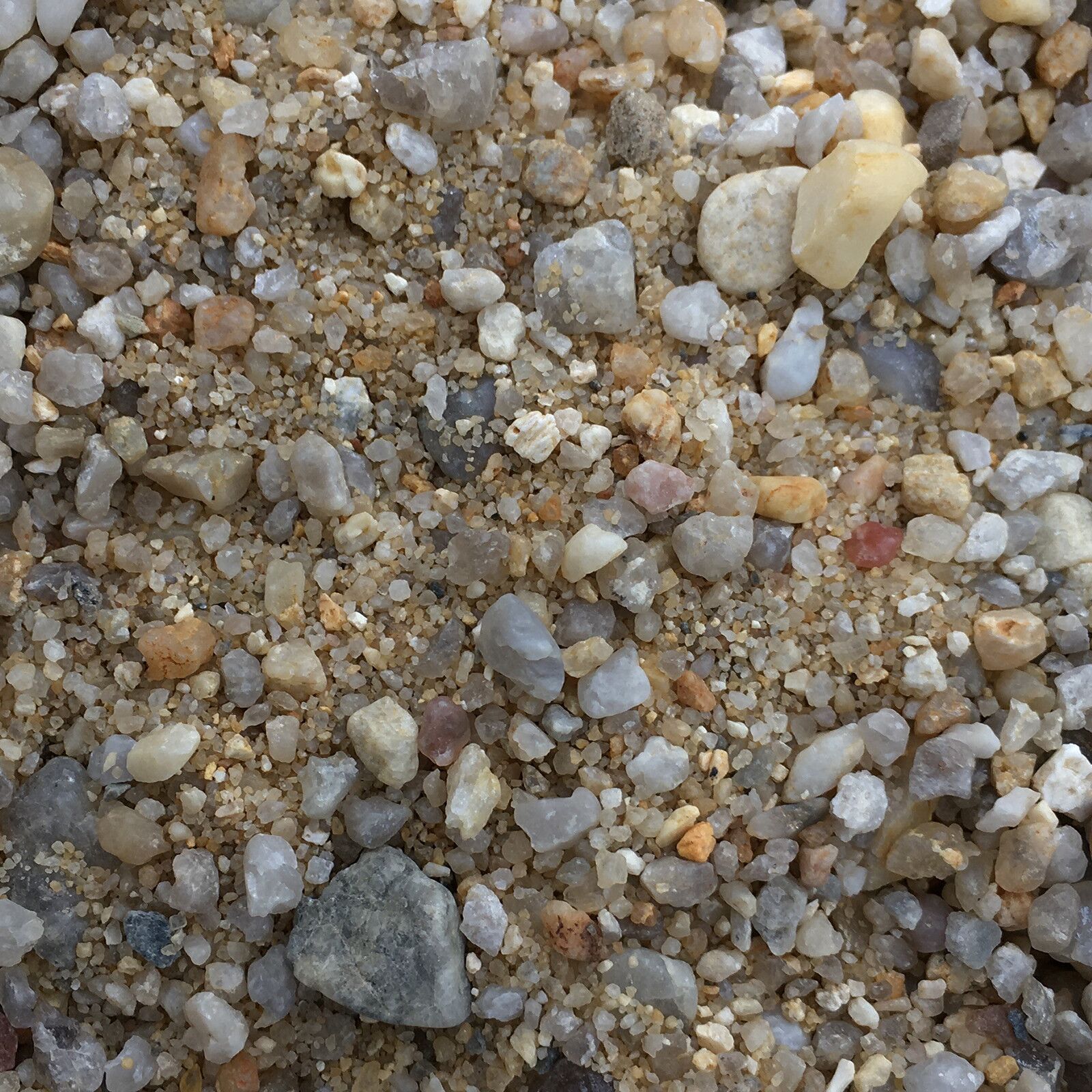 返回自然 - 婆罗洲衬底 -  10千克