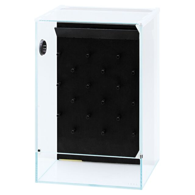 斗狗 - 系统帕卢达