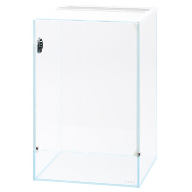 DOOA - Neo Glas Paluda