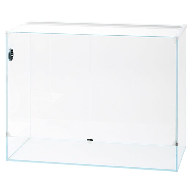 DOOA - Neo Glas Paluda