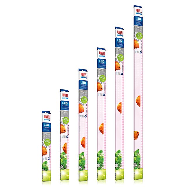 Juwel  -  MultiLux LED的光源 - 颜色