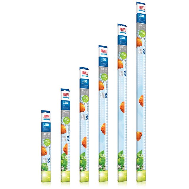 Juwel -多光源LED -日