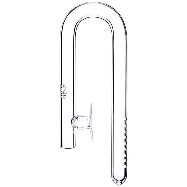 加州水族实验室-流入