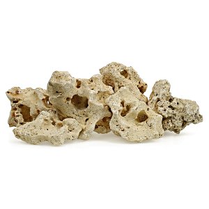 洞石-设置- 60厘米